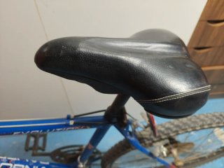 Bicicleta California Evolution