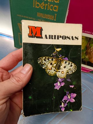 Mariposas de la península ibérica I, II, Miguel P. Gómez Bustillo + PEQUEÑO LIBRO DE MARIPOSAS
