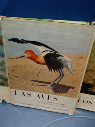 Enciclopedia. El Mundo de la naturaleza. Seix Barral. 7 tomos. Animales. 1960