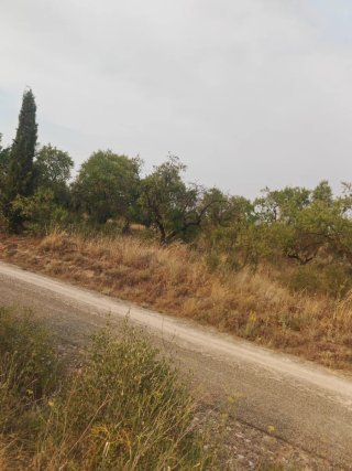 Huerto de 3000m en Cascante