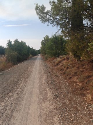 Huerto de 3000m en Cascante