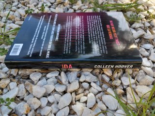 Hundida: La esperada nueva novela de Colleen Ho...