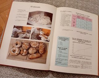 EL LIBRO DEL PAN . Panes especialesy decorados.