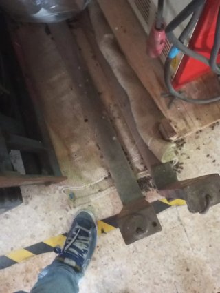 Toro Eléctrico Elevador