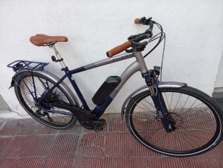 Bicicleta Eléctrica Raleigh Array