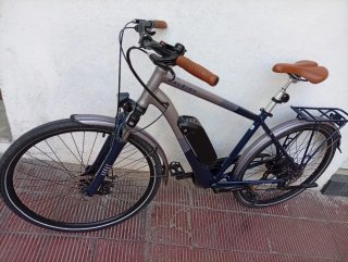 Bicicleta Eléctrica Raleigh Array