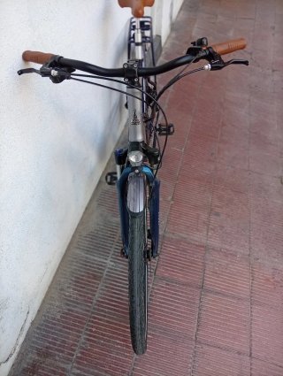 Bicicleta Eléctrica Raleigh Array