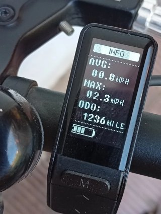 Bicicleta Eléctrica Raleigh Array