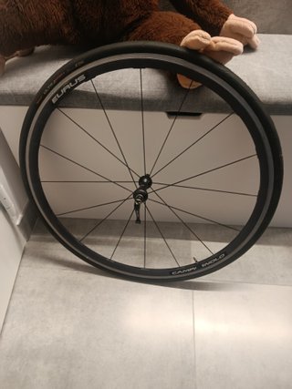 Ruedas Campagnolo eurus G3