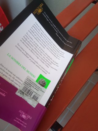 La sombra del mundo