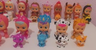 Bebés Llorones con mascotas