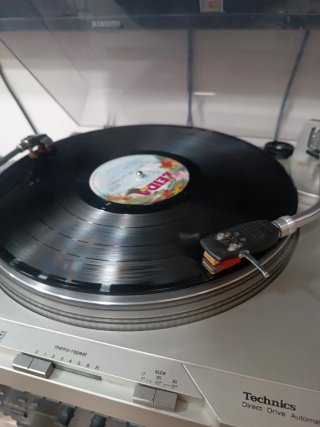 Vinilo El disco de la Feria