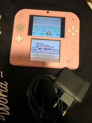 Nintendo 2DS Rosa