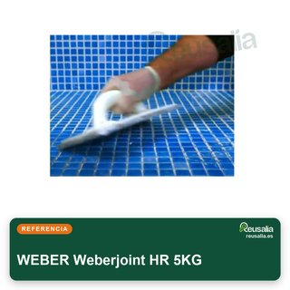 Weber junta azulejos piscina HR 5KG