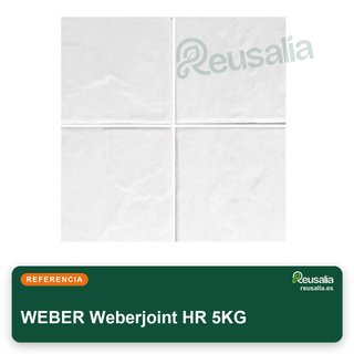 Weber junta azulejos piscina HR 5KG