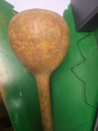 Calabaza decorativa alargada