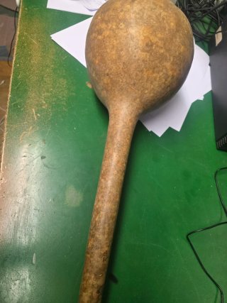 Calabaza decorativa alargada