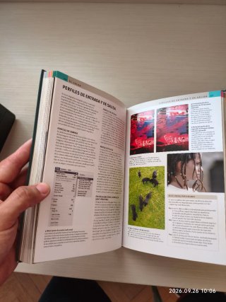 Fundamentos de la fotografía