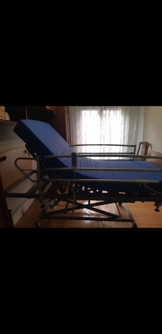 Cama Geriátrica Articulada Eléctrica