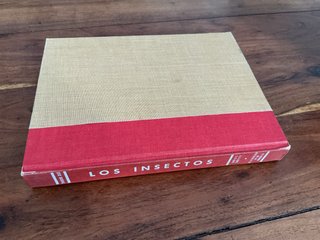 Libro Los insectos , el mundo de la naturaleza