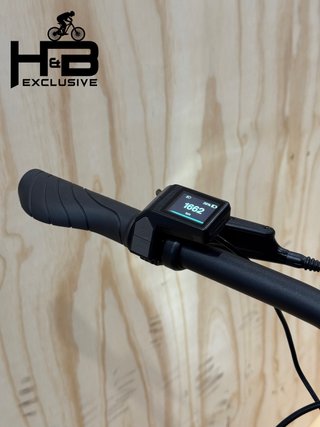 Giant Talon E+ EX Shimano Alivio 2022