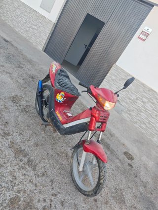 Suzuki Suzy