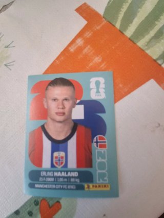 Cromo Panini Erling Haaland