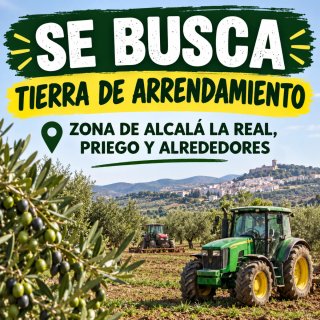 Se busca tierra en arrendamiento