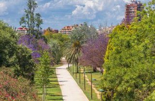 Estudio en alquiler en Morvedre en Valencia