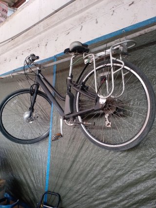 Bicicleta Eléctrica Giant