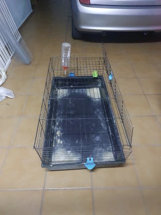 Jaula para Conejos o Cobayas tamaño grande