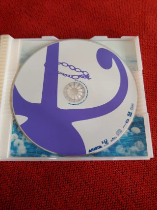 Prince -  Rave un2 the Joy fantastic