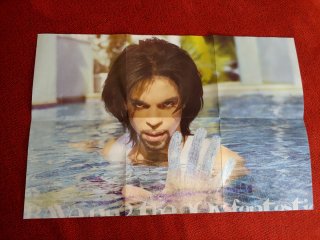 Prince -  Rave un2 the Joy fantastic