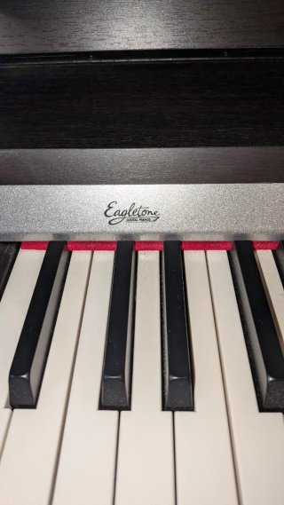 Piano Eagletone DPW-100 Duality + Banqueta.