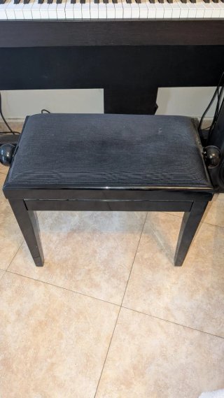 Piano Eagletone DPW-100 Duality + Banqueta.