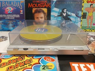 Tocadiscos Technics SL D3