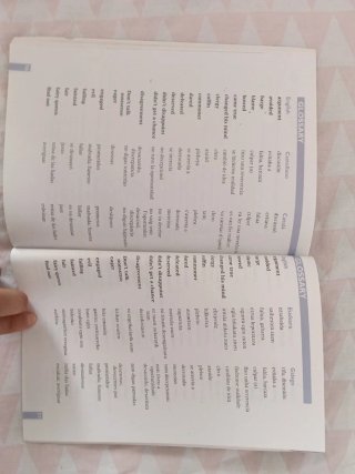 MY LADY ANNE BOLEYNESO3 ACTIVITY