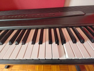 Teclado Casio Negro