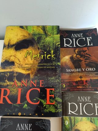 Lote 4 libros Anna Rice