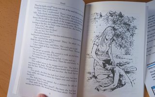 Lote 2 Libros Lectura Inglés: Walkabout y Dickens