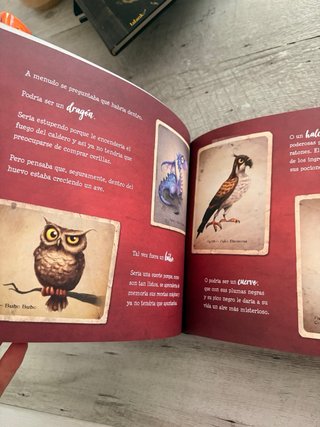 La bruja Pampurrias un nido en el bolso