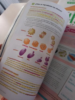 Libros 1 ESO