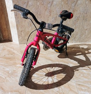 Bicicleta BH Expert 14