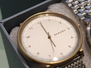 Relojes Skagen (lote de 2)