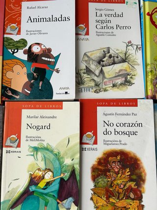 Lote 17 libros infantiles