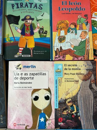 Lote 17 libros infantiles