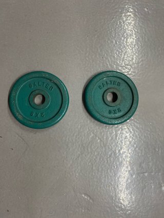 2 discos Salter 2 kg