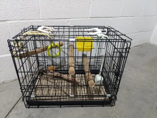 Jaula para Loro con Accesorios