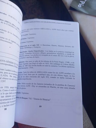 Libro de José María estables el duque.