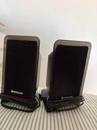 Altavoces Woxter Big Bass 130